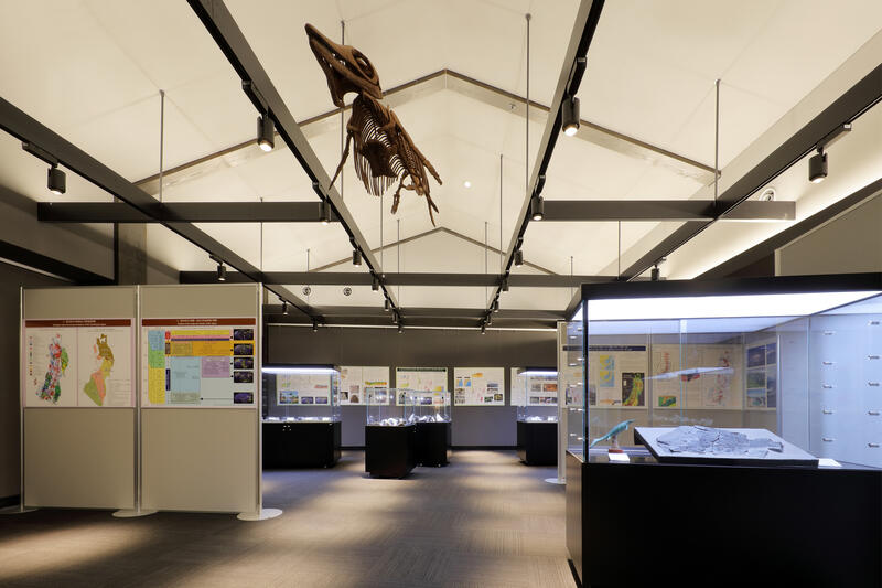 離宮博物館では夏休みの間NPO法人鉱物友の会会員による秘蔵の化石展を開催