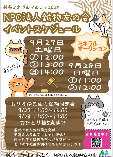 NPO法人鉱物友の会プレゼンツ！<br>ミネラルオークション開催します。どなたでも参加OK！ほしかったあのミネラルをセリ落としちゃおう！
