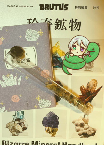 本も好きだぜ！