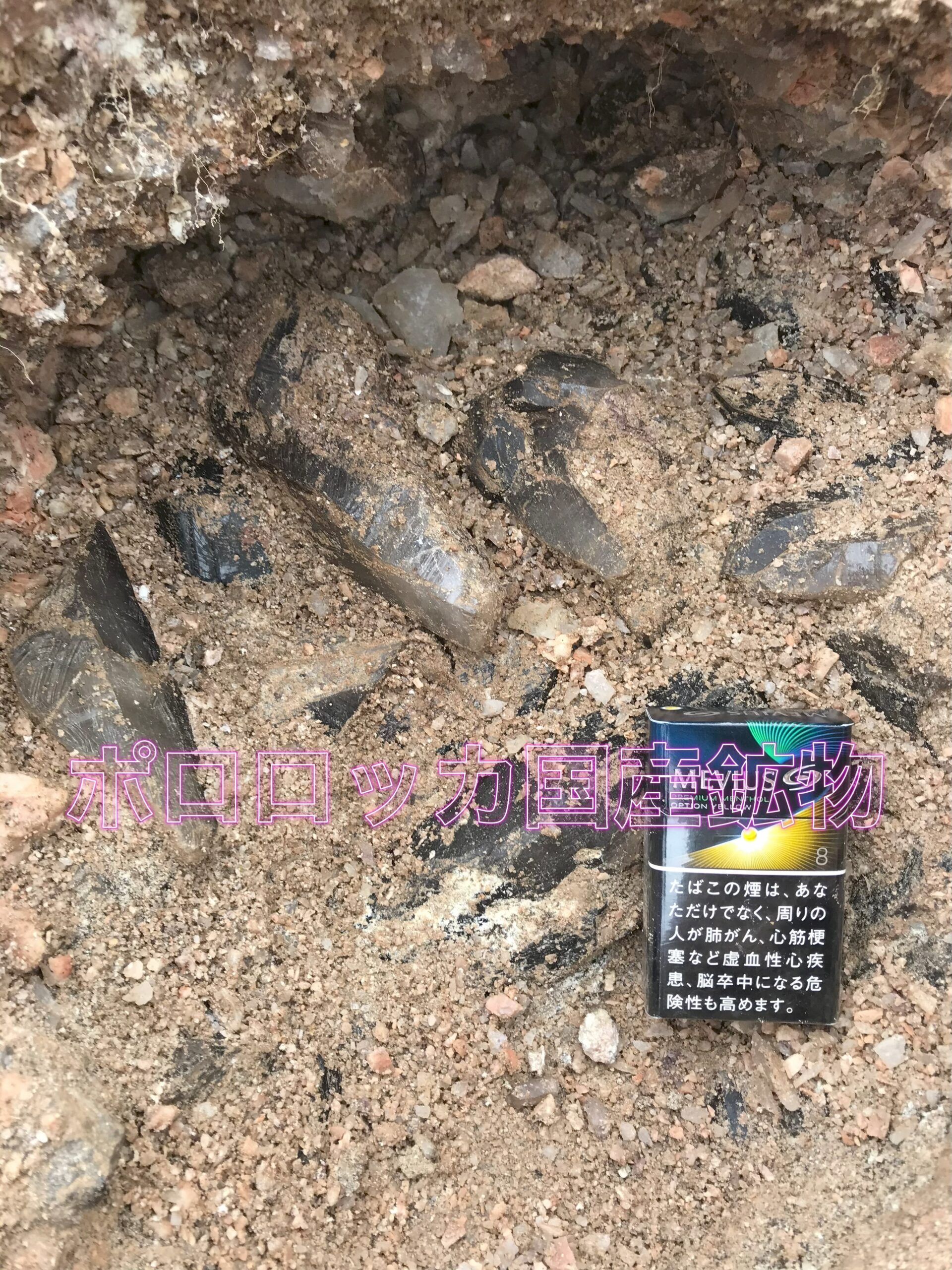 ポロロッカ国産鉱物のロゴ